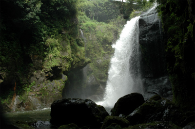 e0272335_203545100.jpg