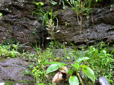 e0272335_20522158.jpg
