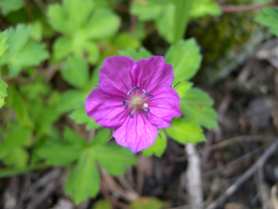 e0272335_213169.jpg