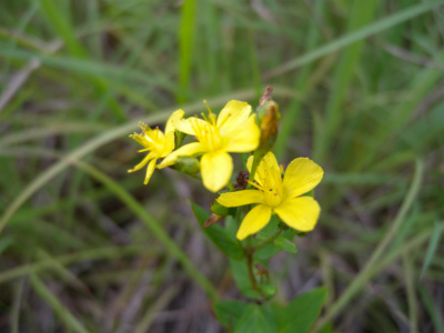 e0272335_2135026.jpg