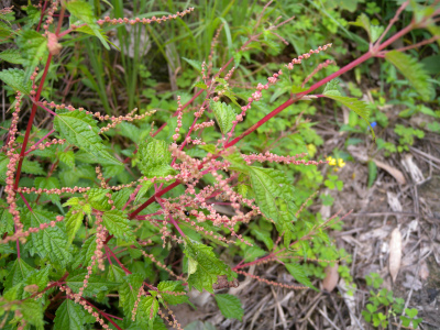 e0272335_2151344.jpg