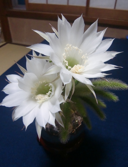 f0329849_2149542.jpg