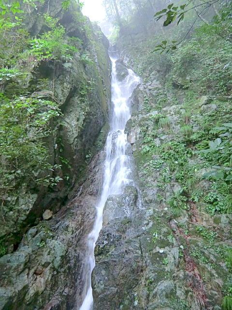 f0356953_21113845.jpg