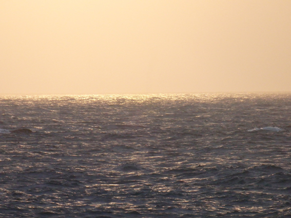d0218056_249545.jpg