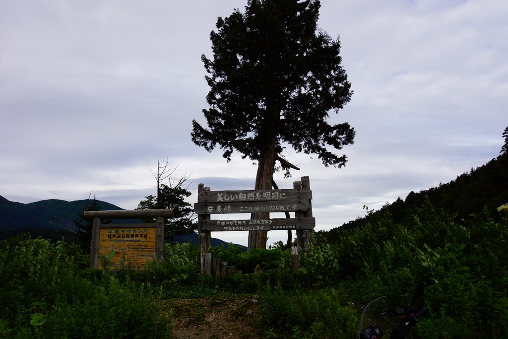 e0223456_11363213.jpg