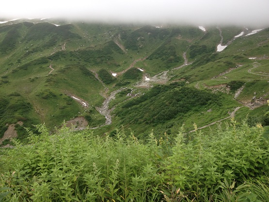 a0053558_1811366.jpg