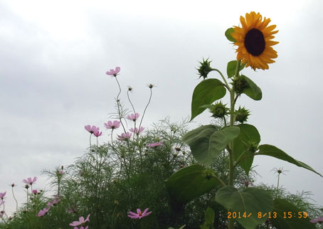b0075364_23231766.jpg