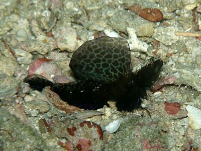b0033573_17291321.jpg