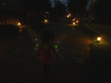 b0075888_12452420.jpg