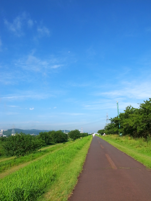 d0081997_07551733.jpg