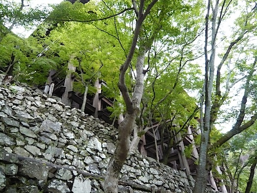 c0124998_1503255.jpg