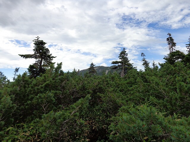 b0326303_22083993.jpg