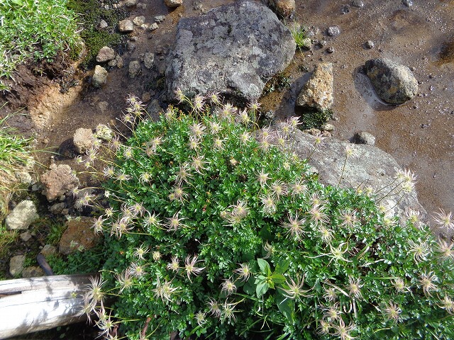 b0326303_22091815.jpg