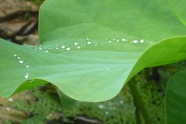 a0214206_22202483.jpg