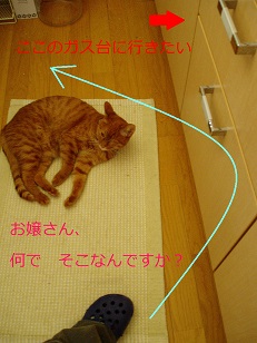 b0200310_13572285.jpg