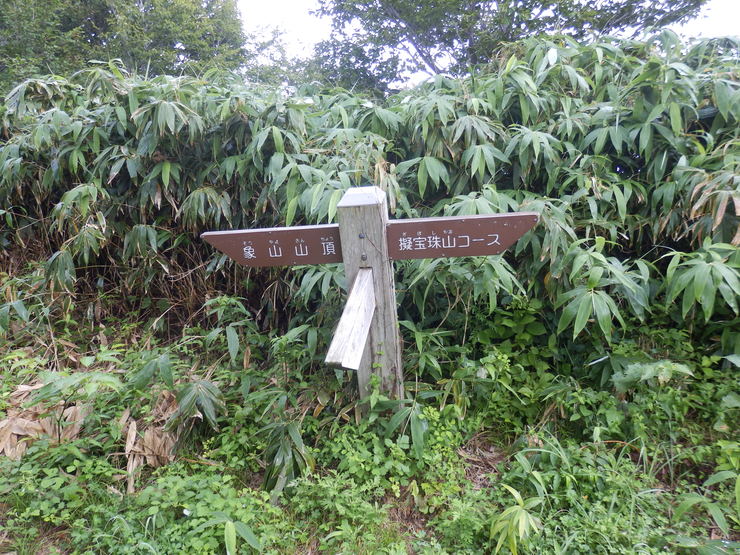 f0219710_80084.jpg