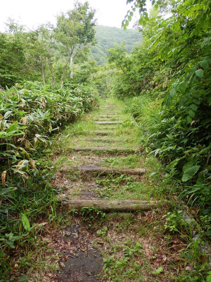 f0219710_813761.jpg