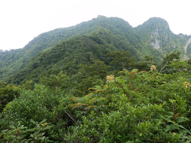 f0219710_822570.jpg