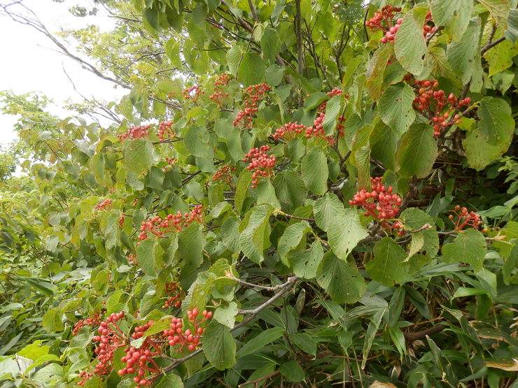 f0219710_840564.jpg