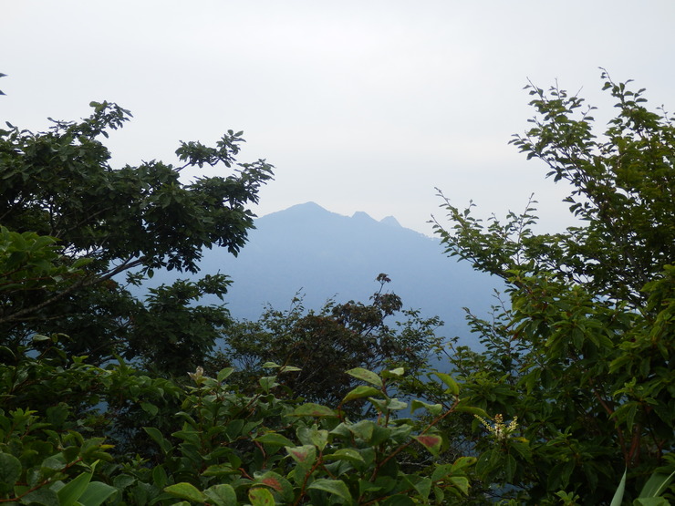 f0219710_861725.jpg