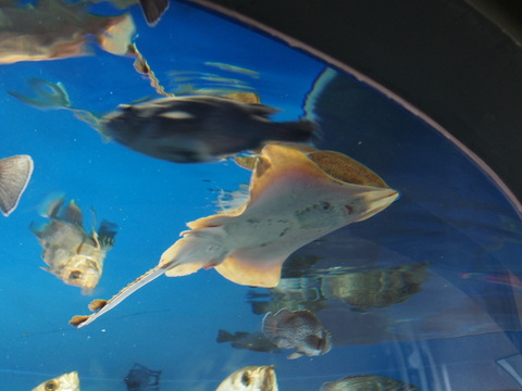 b0009118_01531350.jpg