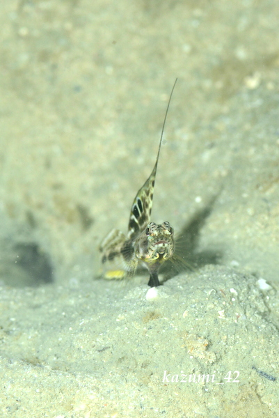 b0164920_21561950.jpg