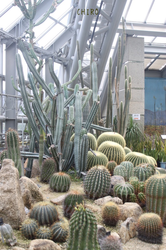 f0293522_0362752.jpg