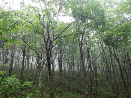 f0118332_23163811.jpg