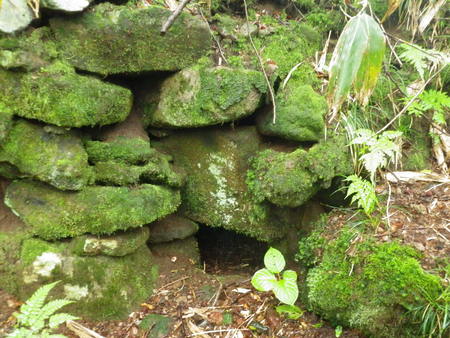 f0118332_23181311.jpg