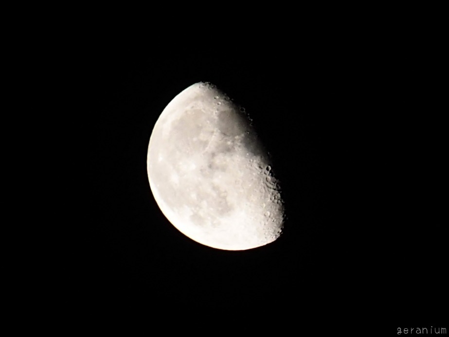 c0133533_20425.jpg