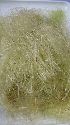 a0013236_17442776.jpg