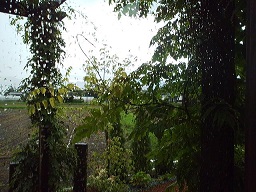 a0272241_17243927.jpg