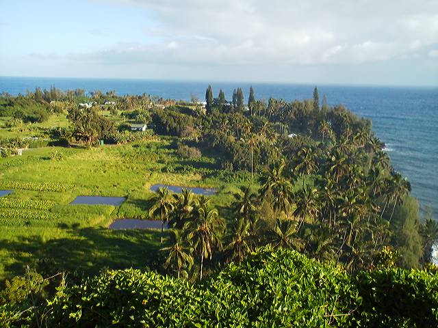 a0272241_18174328.jpg