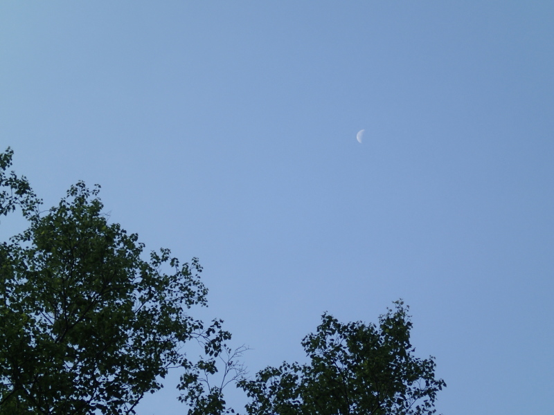 b0190242_14151512.jpg