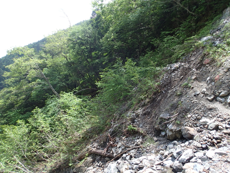 b0190242_14162592.jpg