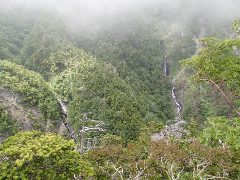 b0190242_1417151.jpg
