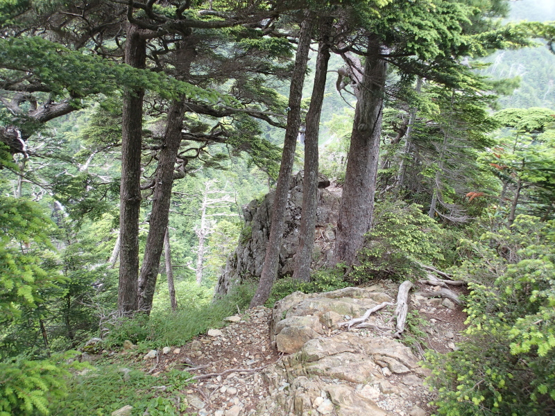 b0190242_14172794.jpg