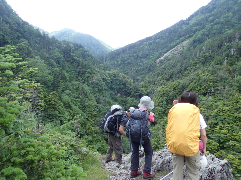 b0190242_1417477.jpg
