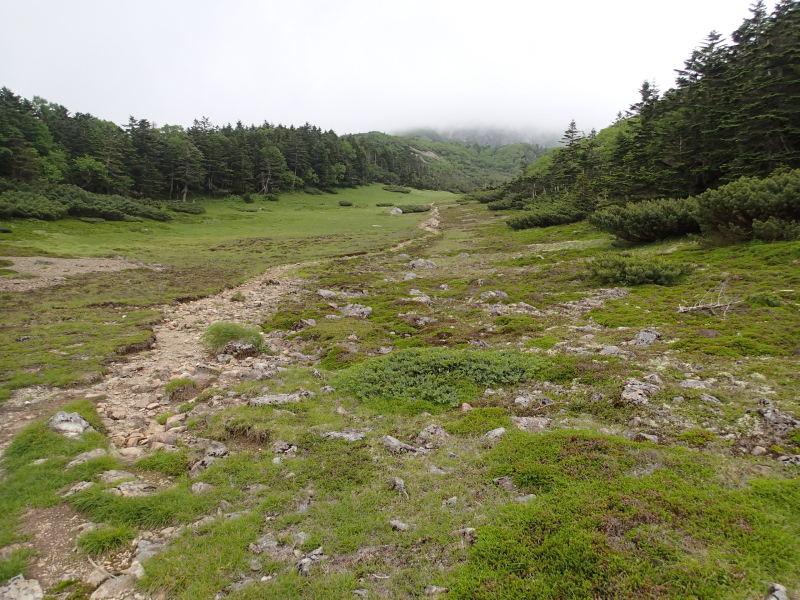 b0190242_14291062.jpg