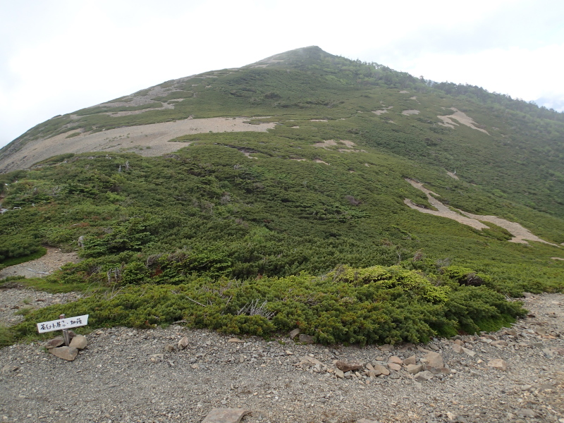b0190242_14292437.jpg
