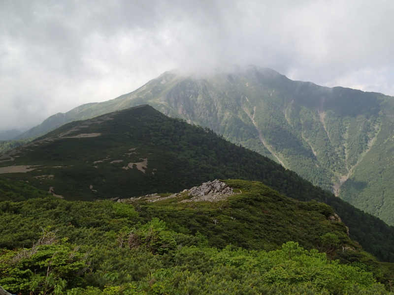 b0190242_1432588.jpg