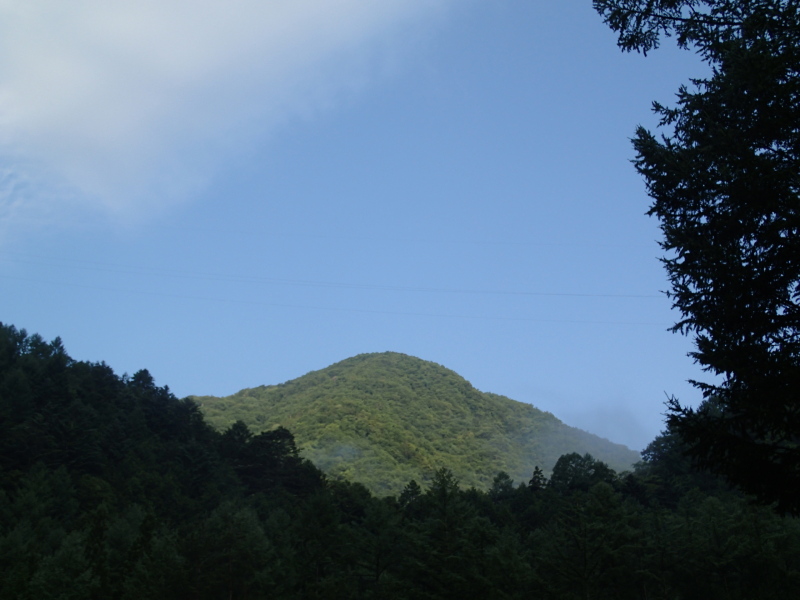 b0190242_14371833.jpg