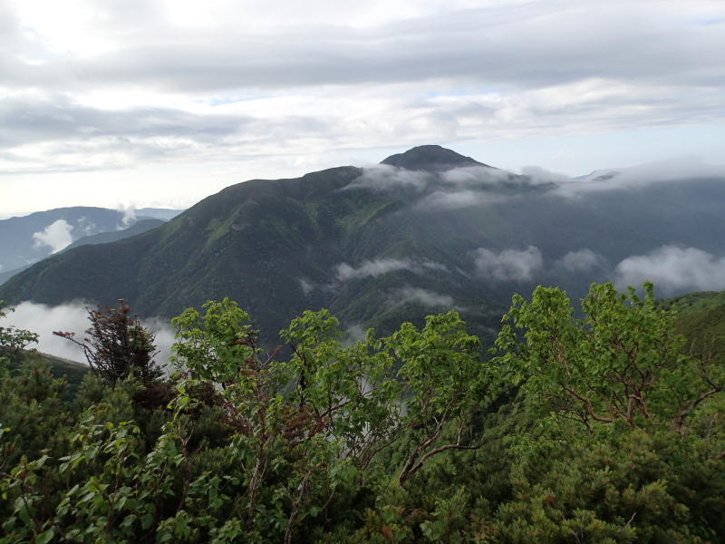 b0190242_14393214.jpg