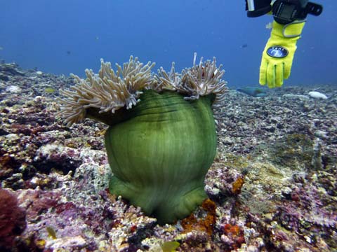 f0014842_1557281.jpg