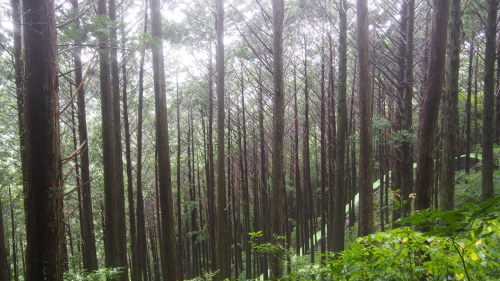 f0347942_09542288.jpg