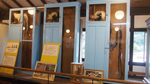 f0347942_09560333.jpg