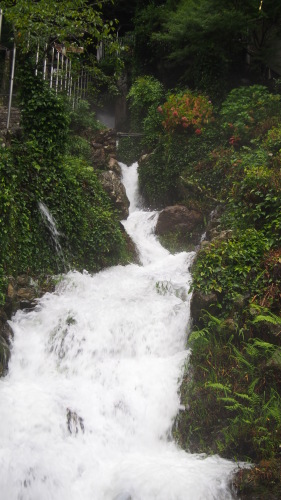 f0347942_10390578.jpg