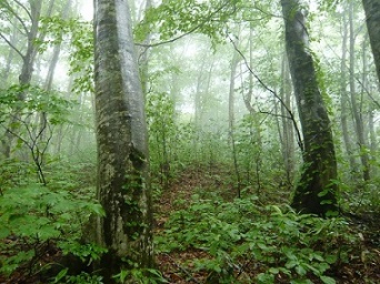 c0225143_16223546.jpg