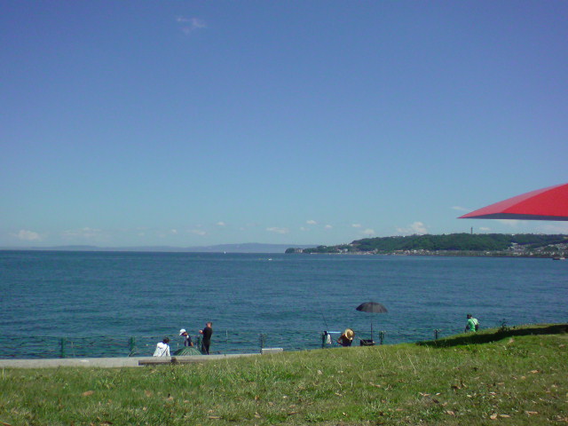 b0139044_20393062.jpg
