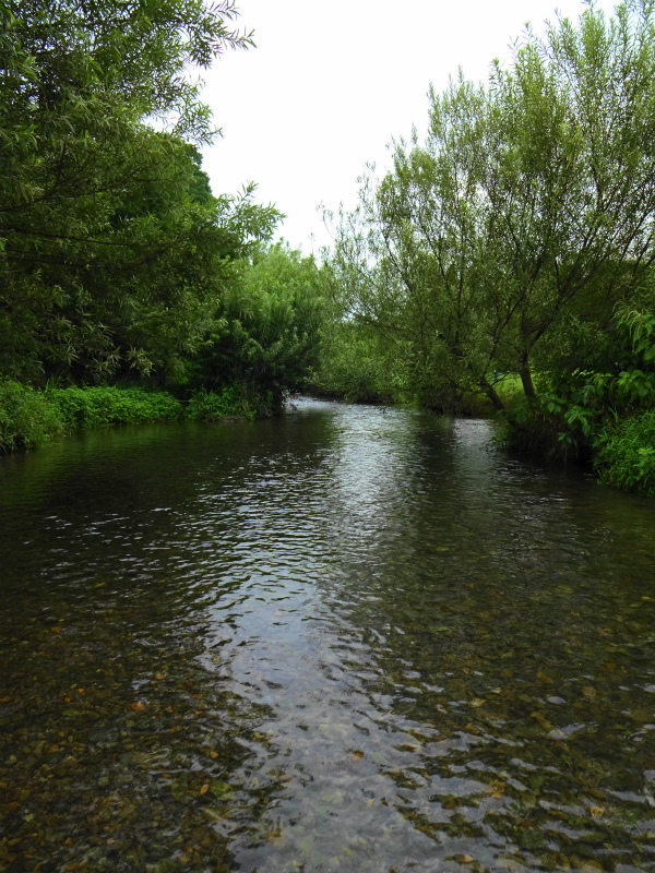 b0097747_22461931.jpg